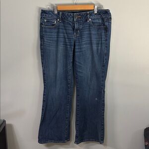 American Eagle vintage jeans women’s sz 10 short 10S blue favorite boyfriend